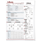 結果用紙イメージ