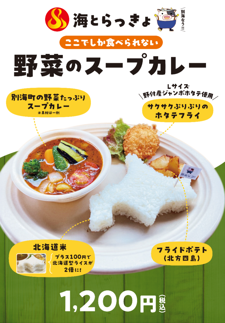 野菜スープカレー