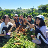 大収穫祭の様子7